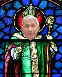 The spiralling fall of Saint Fauci