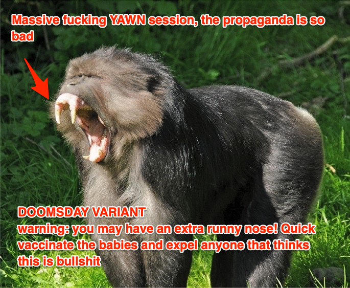 DOOMSDAY VARIANT - What the hell? can anyone believe this nonsense?