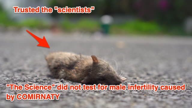 COMIRNATY FDA Approved but will cause male infertility & cancer